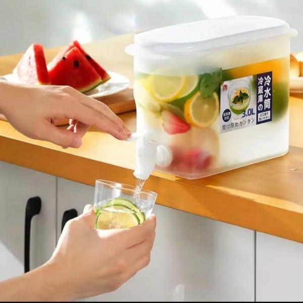 Manual Fruit Juicer, 3.5L